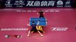 Liu Shiwen vs Wang Manyu | 2019 ITTF China Open Highlights (1/4)