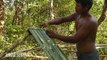 Jungle Survival - Building  Bamboo Bullfrog Hut  And Feeding Giant Frogs In Bamboo
