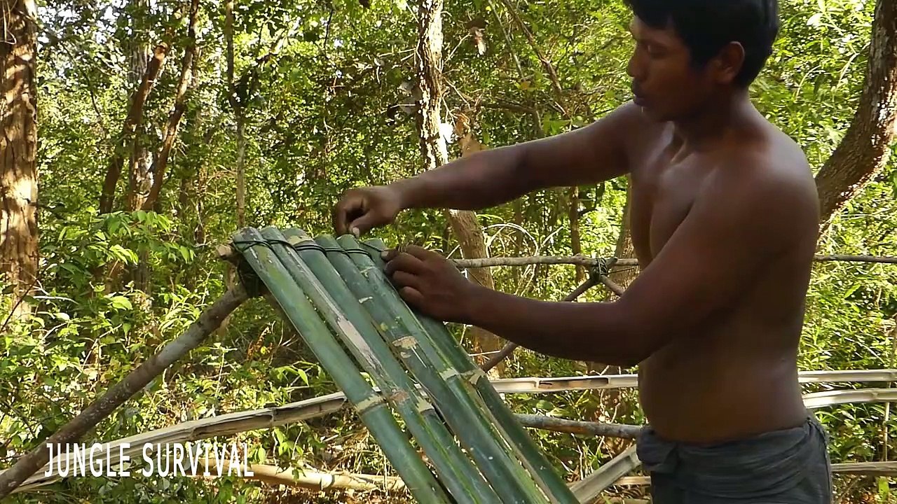 Jungle Survival - Building  Bamboo Bullfrog Hut  And Feeding Giant Frogs In Bamboo