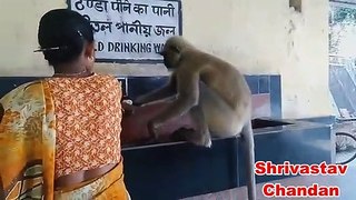 Thirsty Monkey and the Women - Very Emotional - Human and Animal Bond in india