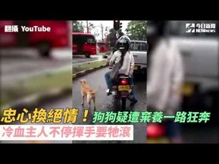 忠心換絕情！狗狗疑遭棄養一路狂奔　冷血主人不停揮手叫牠滾｜NOWnews