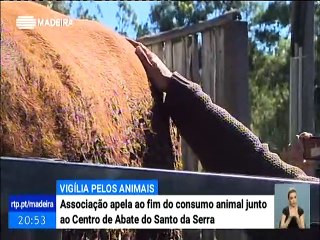 Vigília pelos Animais em frente à CARAM