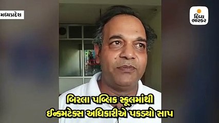 ઈન્કમટેક્સ અધિકારીએ પોતાનો જીવ જોખમમાં મૂકી સાપનું રેસ્ક્યૂ કર્યું