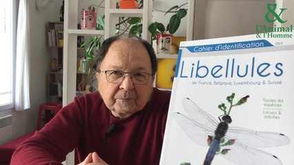 Interview de Jean-Pierre Boudot : Libellule, t’as d’beaux yeux tu sais !