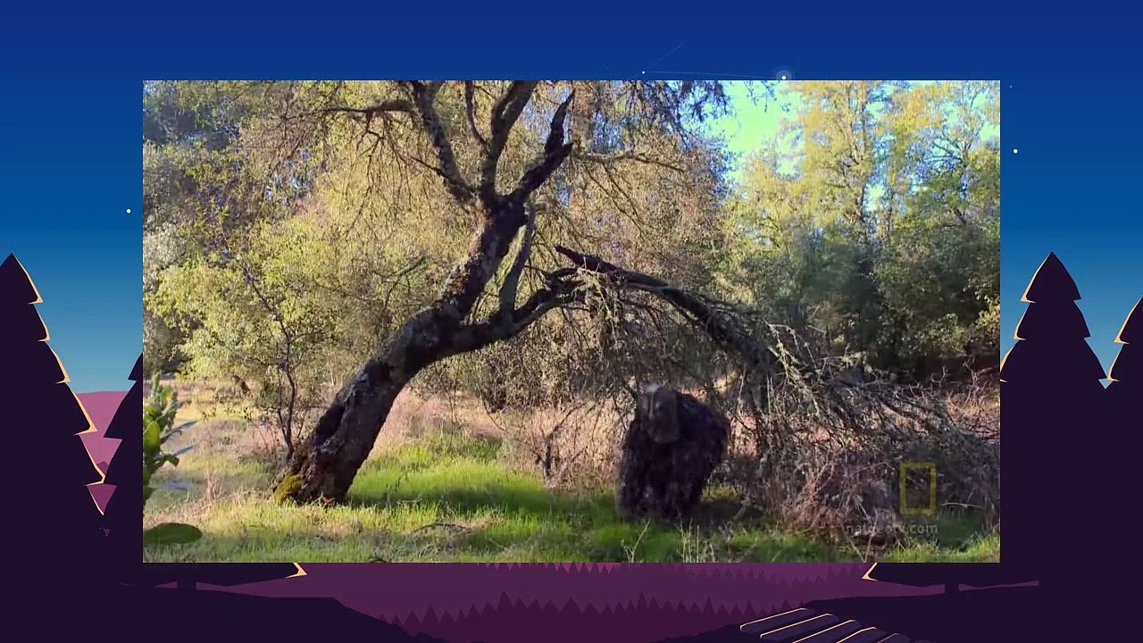 Doomsday Preppers - Into the Spider Hole   S01E07