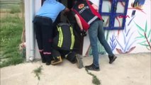TEKİRDAĞ Lavaboya giren yılanı itfaiye yakaladı