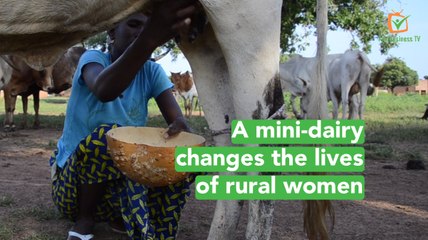 Burkina Faso: A mini-dairy changes the lives of rural women