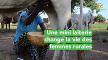 Burkina Faso : Une mini laiterie change la vie des femmes rurales