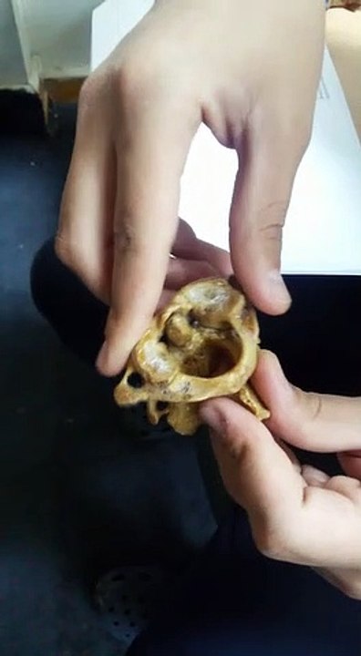 تجربه