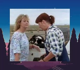 Flying Doctors S03E25