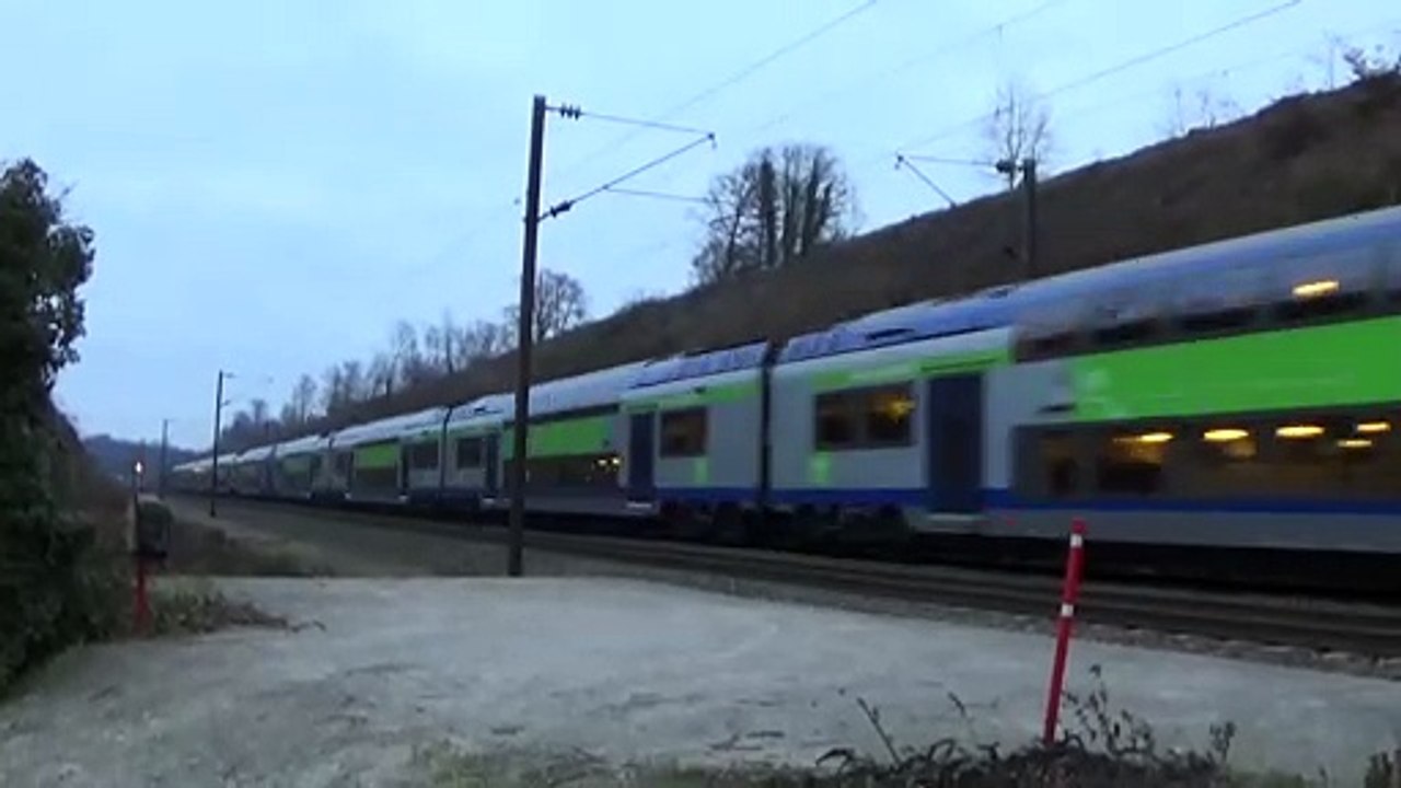 Des trains et des sangliers