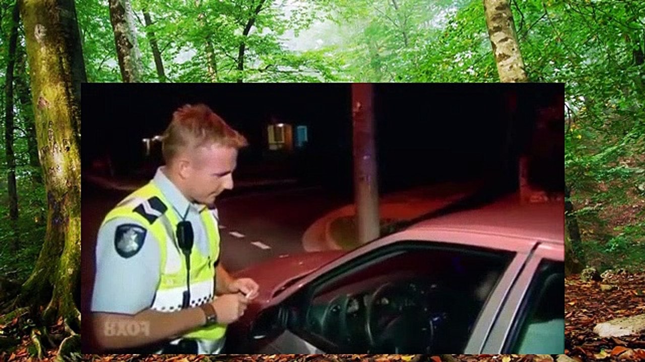 Highway Patrol   Taking Mum's Car For A Spin