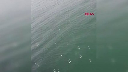 İSTANBUL- ARKADAŞININ MOTORUYLA DENİZ UÇTU, YARDIMINA BALIKÇILAR KOŞTU