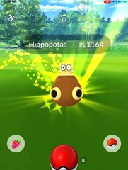 HIPPOPOTAS IV 100 MAX CP 1164 LIV 35