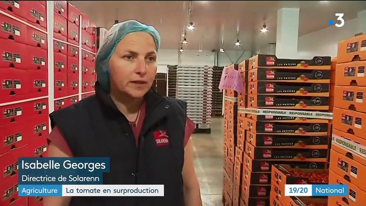 Agriculture : la tomate en crise, des tonnes de marchandises détruites