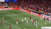 Divock Origi Goal - Tottenham Hotspur vs Liverpool 0-2 01/06/2019