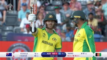 Warner stars for Australia on international return