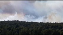 El Infoca moviliza a más de 200 efectivos en un incendio forestal en Huelva