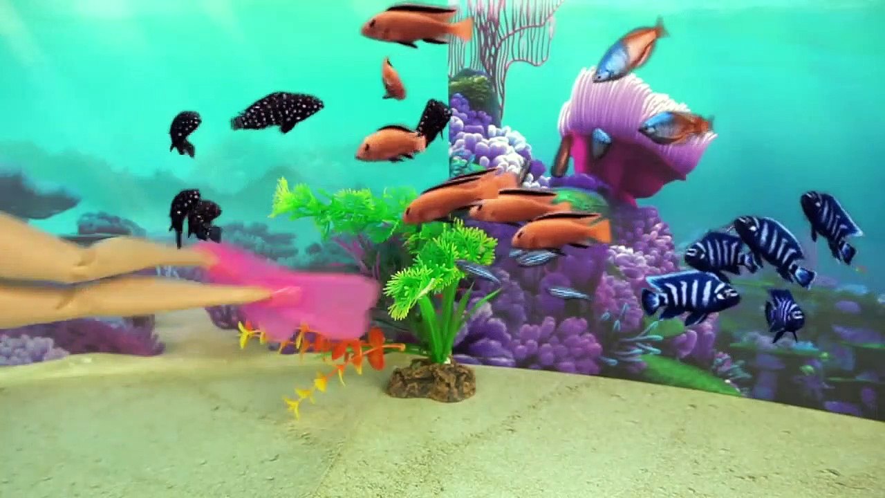 Barbie & Ken Beach Vacation Morning Routine - Barbie Doll Snorkeling Under Water Play for Kids