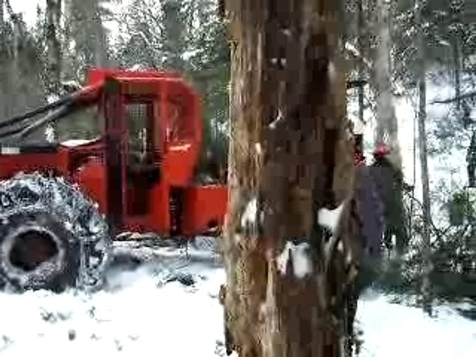 skidder a câble en opération /3