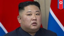 Kim Jong-un executed, purged top negotiators after Hanoi summit