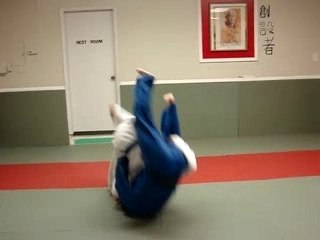 best best judo judo tampa show