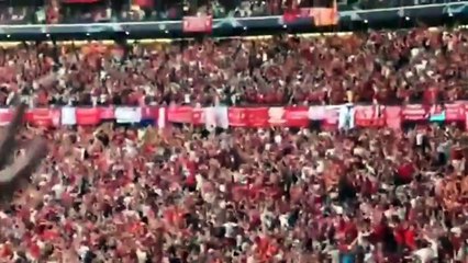 Liverpool vs Spurs champions league final 2019 Highlights