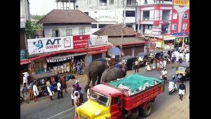 Indian Viral Funnny - Desi Funny Video - Just For Fun