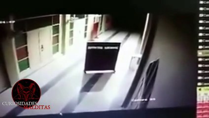 Curiosidades Malditas - Cursed Curiosities