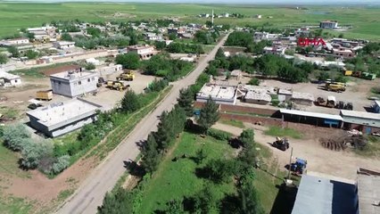 Mahallelinin maskotu deve kuşları