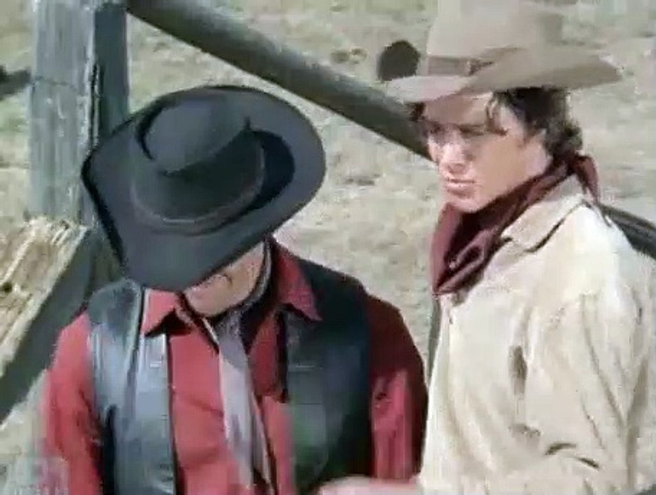 Bonanza Season 14 Episode 9  Stallion