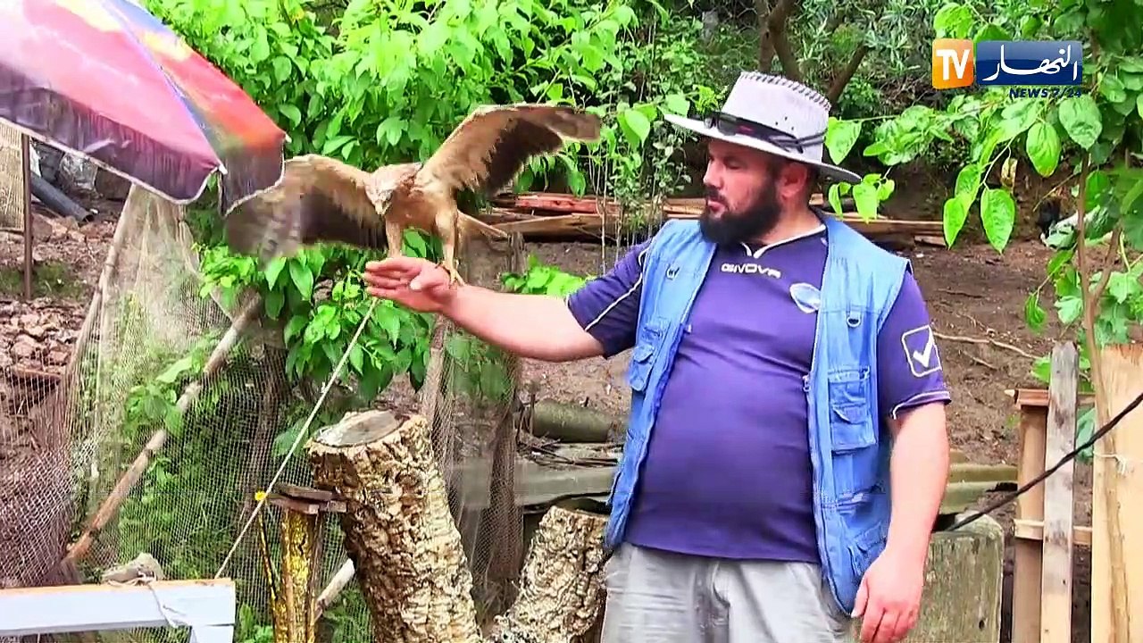 جيجل: بلال يحول بيته القصديري إلى حديقة نموذجية للحيوانات