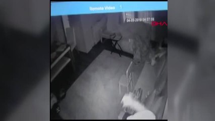 HIRSIZLAR, AİLENİN ÇOCUKLARINI İZLEMEK İÇİN KURDUĞU KAMERAYA YAKALANDI