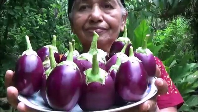 Village Aliments la Cuisson de l'Aubergine au Curry dans mon Village par ma Maman