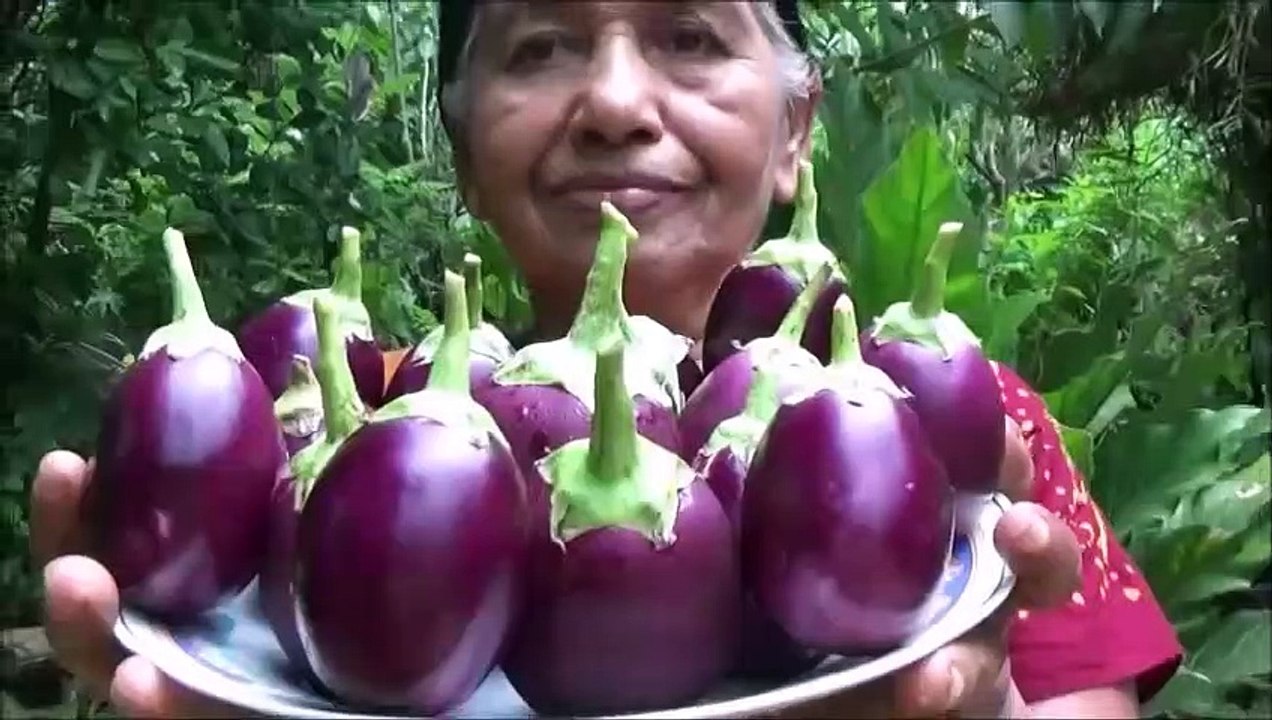 Village Aliments  la Cuisson de l'Aubergine au Curry dans mon Village par ma Maman