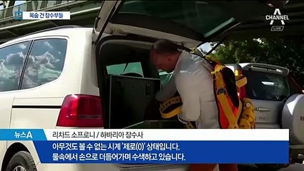 “국적 중요하지 않다”…목숨 건 헝가리 잠수부들