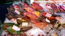 Street Food Market Discovery | ALIEN FISH Japanese Street Food