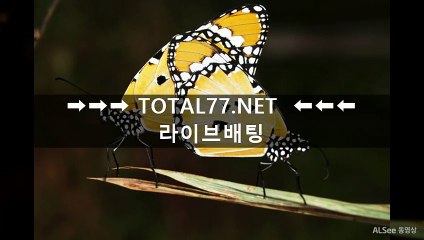 사설사다리〈〉〈〉 TＯTａＬ７７.n e t 〈〉〈〉홀짝사이트 사설사다리