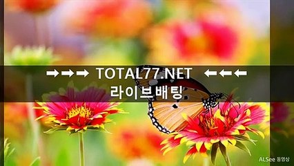 홀짝사이트〈〉〈〉 TＯTａＬ７７.n e t 〈〉〈〉토토픽사이트 먹튀라인