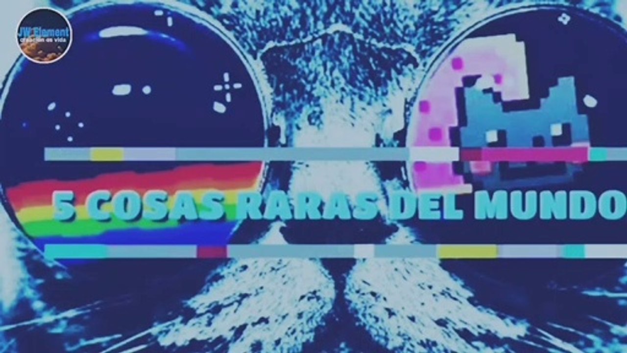 COSAS EXTRAÑAS Y RARAS DEL MUNDO
