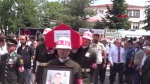 ŞEHİT PİYADE UZMAN ONBAŞI İBRAHİM ALICI SON YOLCULUĞUNA UĞURLANDI-AKTUEL