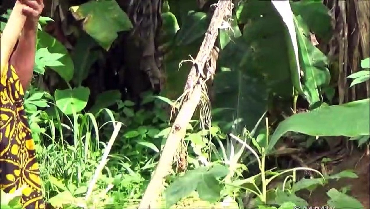 Incroyable Village de la Nourriture  Village Spécial de Fleur de Bananier Escalopes préparé par ma Maman