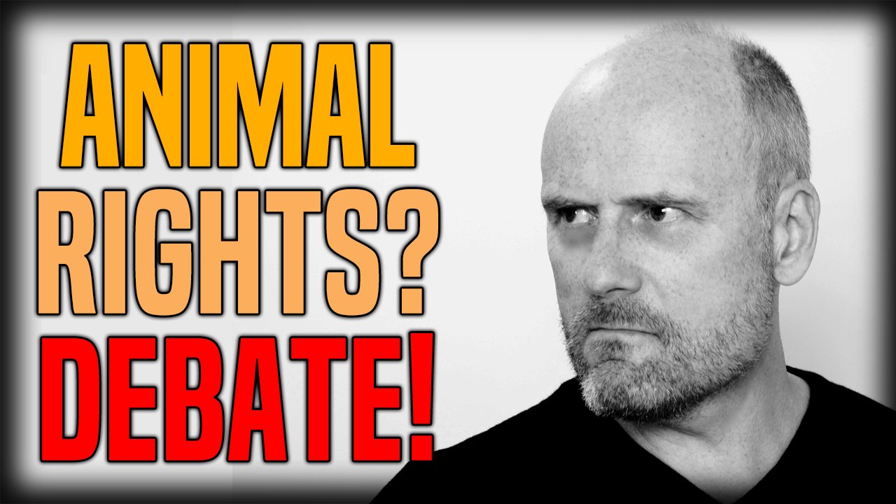Do Animals Have Rights? Freedomain Debate!