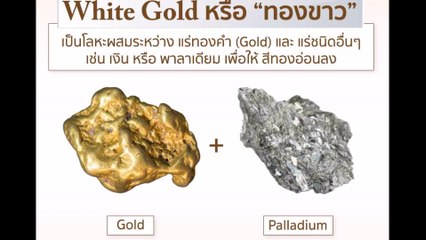 ทองคำขาว/White Gold คืออันเดียวกัน?! ไขข้อข้องใจกับโลหะชนิดนี้กัน!!! สาระน่ารู้ Around The World No.162