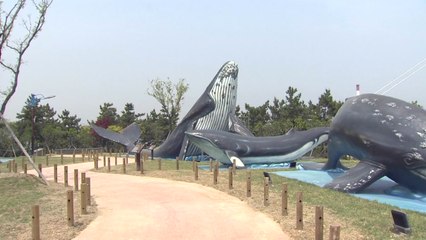 '고래의 모든 것'...장생포 고래축제 7일 개막 / YTN