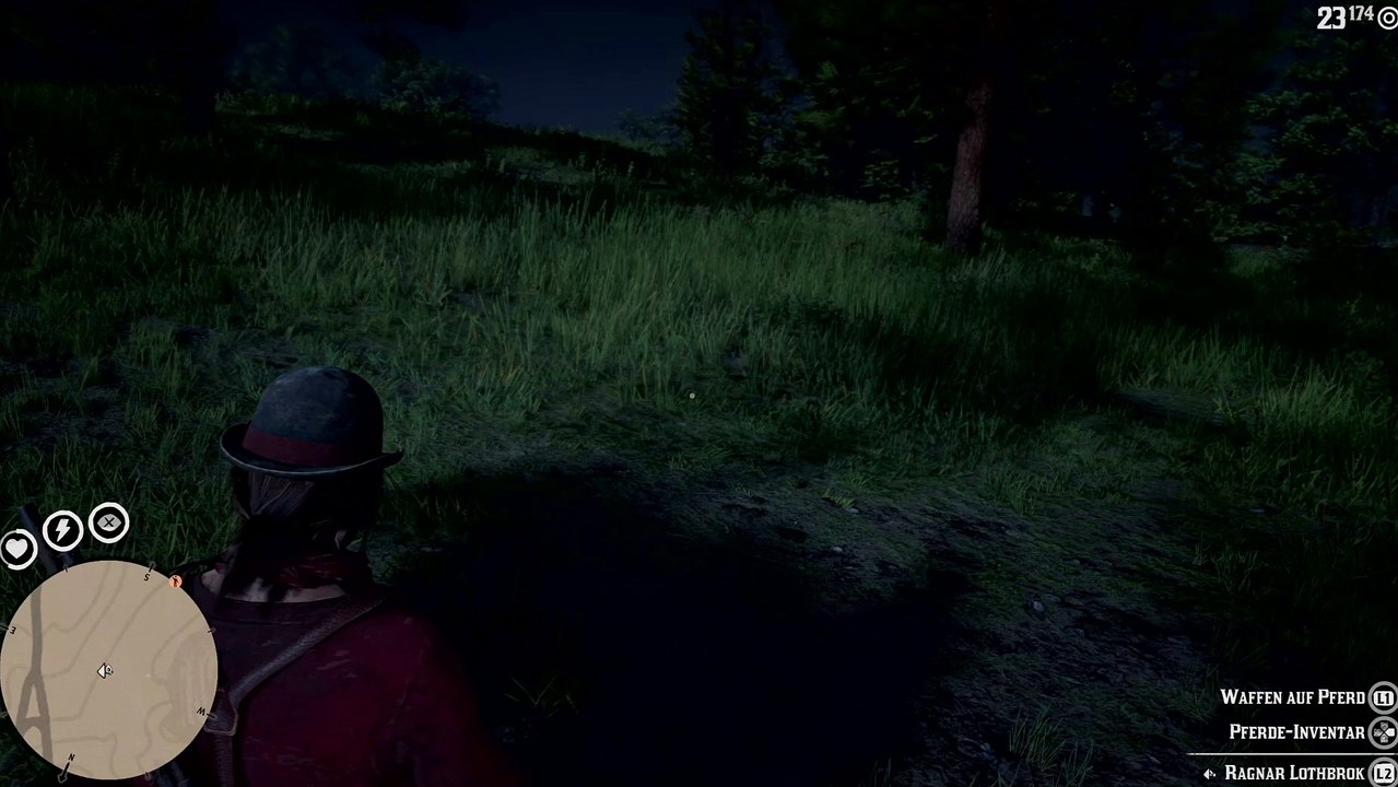 Red Dead Redemption 2_20190602211304