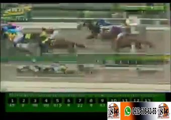 LA RINCONADA 10C 19C307