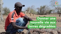 Burkina Faso : Donner une nouvelle vie aux terres dégradées