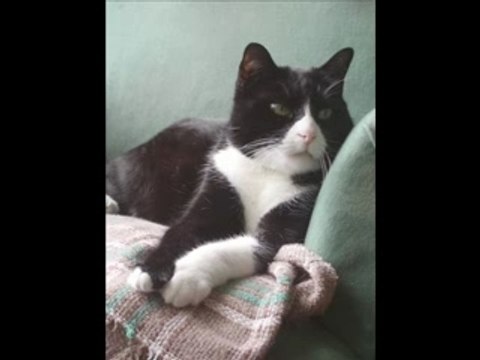 MOURAD GUERBAS A LALLA YA LALLA