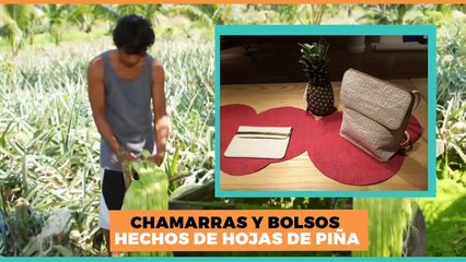 Internacional | Chamarras hechas de piña y botellas recicladas